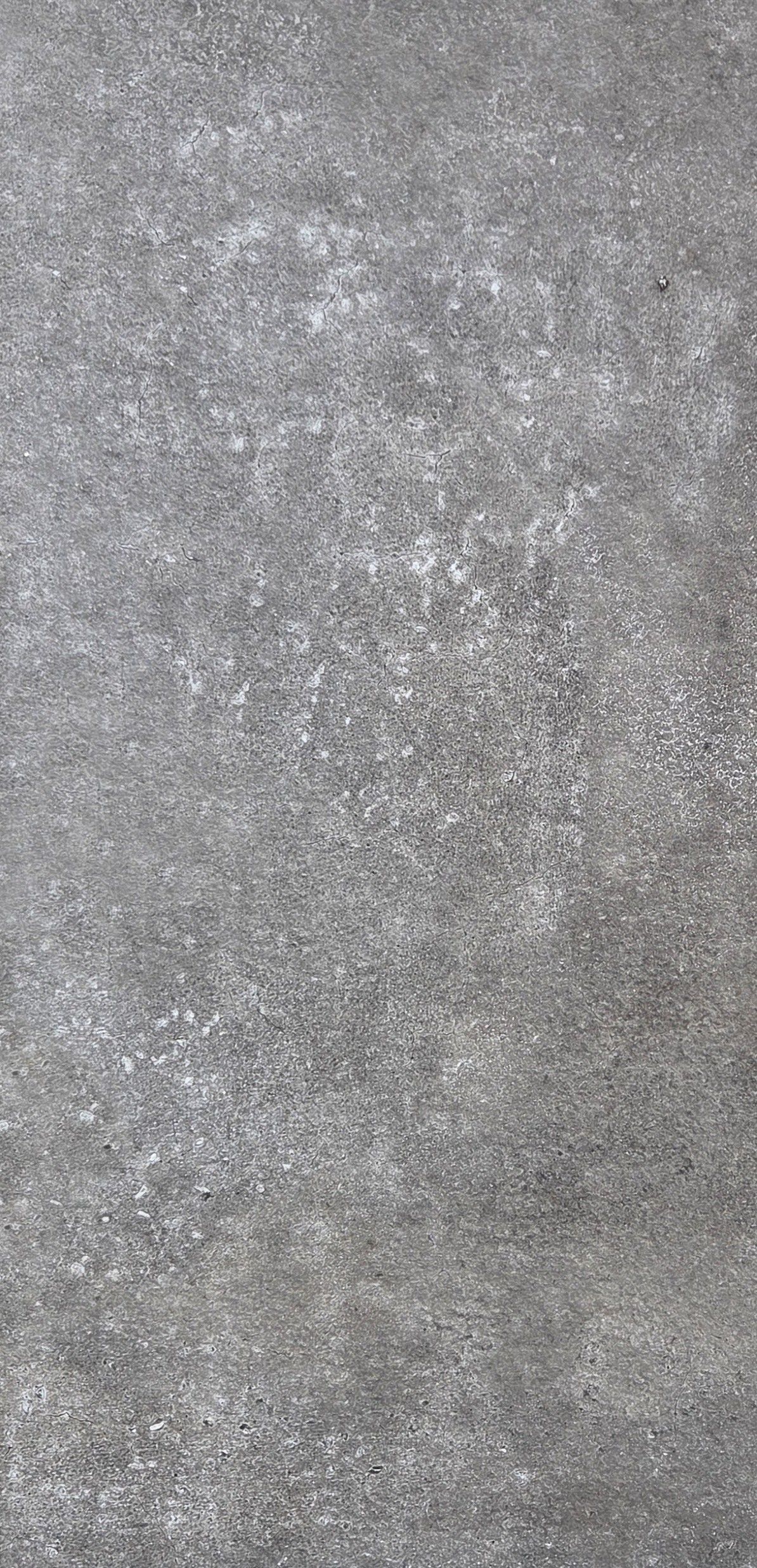 Tuintegel Concrete Taupe 40x80x3
